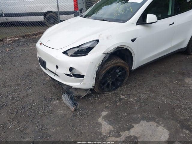 2023 TESLA MODEL Y RWD 6