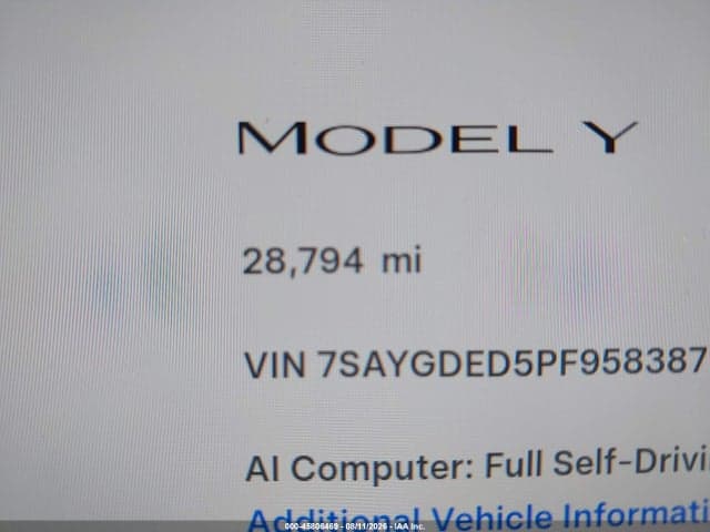 2023 TESLA MODEL Y RWD 14