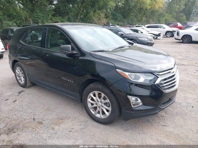2019 CHEVROLET EQUINOX LS - 1