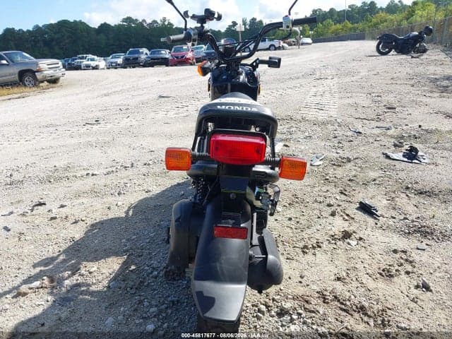 2024 HONDA NPS50 6