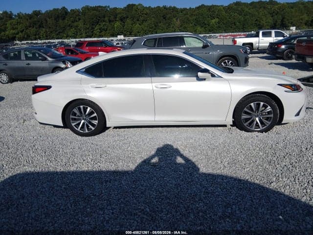 2019 LEXUS ES 350 13
