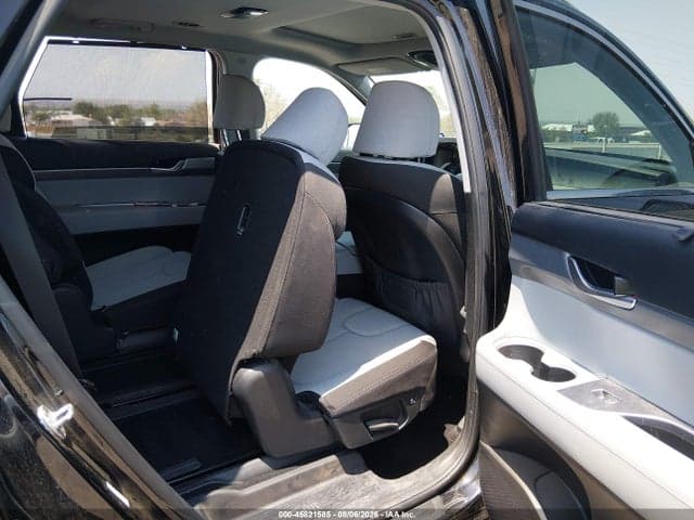 2020 HYUNDAI PALISADE SEL 8