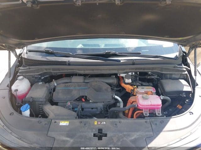 2025 KIA CARNIVAL MPV HYBRID EX 10