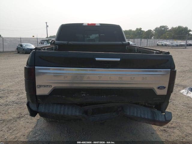 2019 FORD F-150 PLATINUM 17