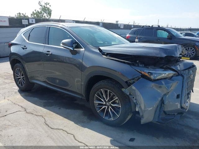 2024 LEXUS NX 350 1