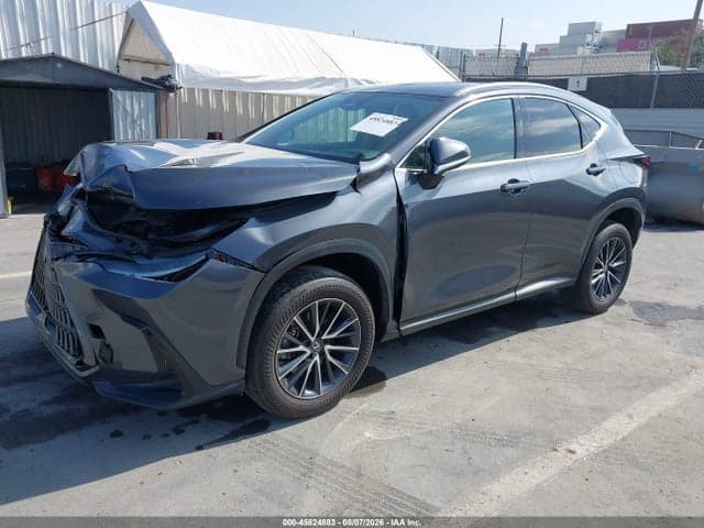 2024 LEXUS NX 350 2