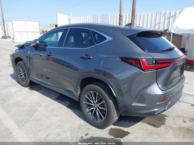 2024 LEXUS NX 350 3