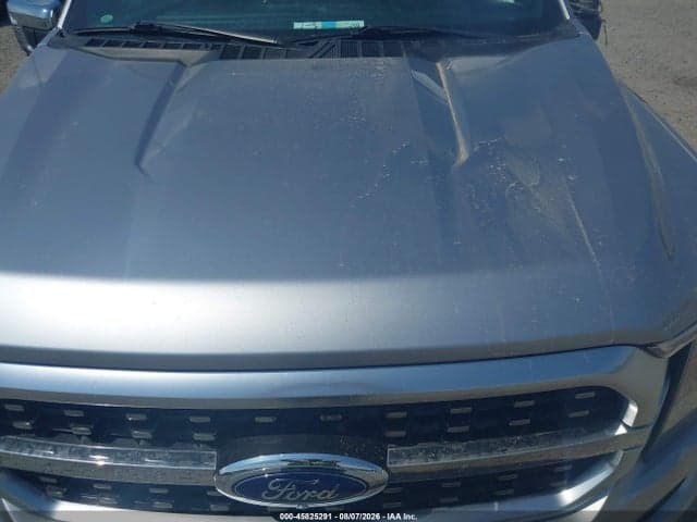 2021 FORD F-150 PLATINUM 10