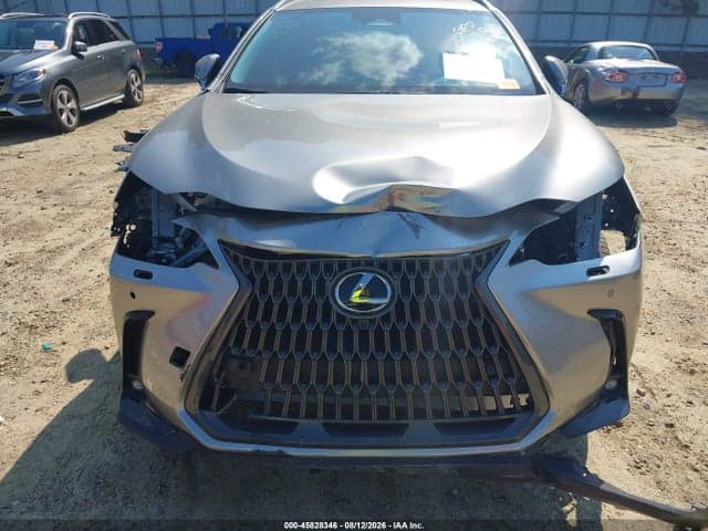 2025 LEXUS NX 450H+ LUXURY 6