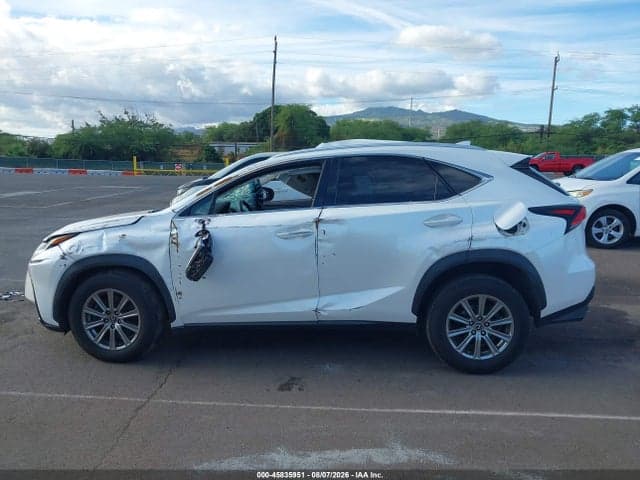 2019 LEXUS NX 300 14