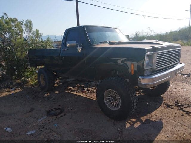 1979 CHEVROLET K20 - 1