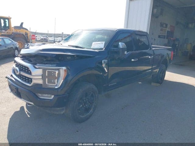 2021 FORD F-150 PLATINUM 2