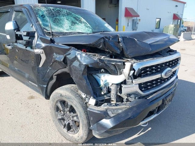 2021 FORD F-150 PLATINUM 6