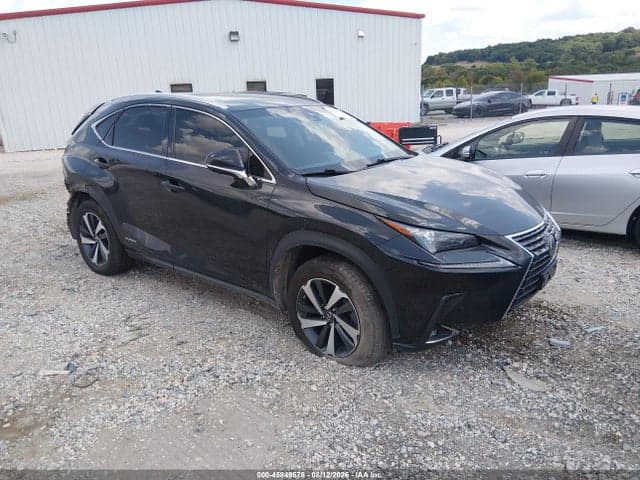 2019 LEXUS NX 300H 1