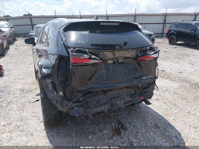 2019 LEXUS NX 300H 6