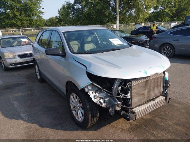 2019 CHEVROLET EQUINOX LS 1