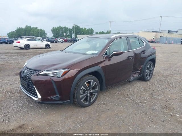 2019 LEXUS UX 250H 2