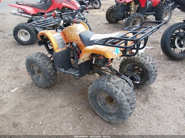 2021 COOLSTER ATV 3