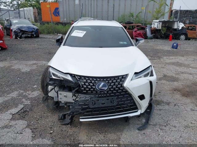 2019 LEXUS UX 250H 12