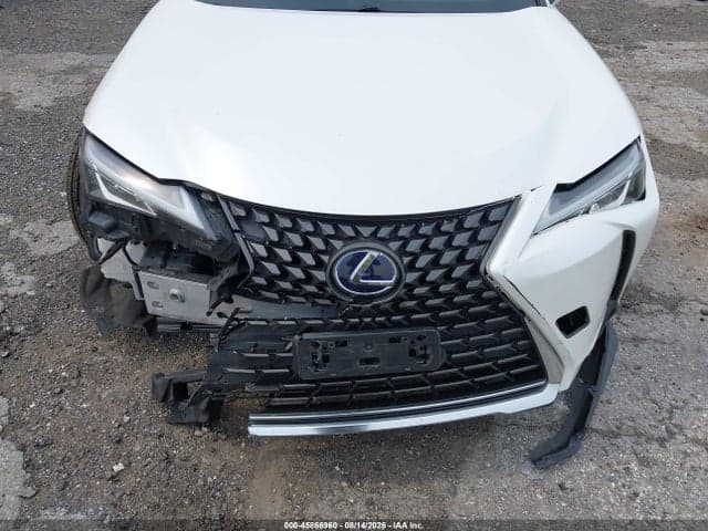2019 LEXUS UX 250H 6