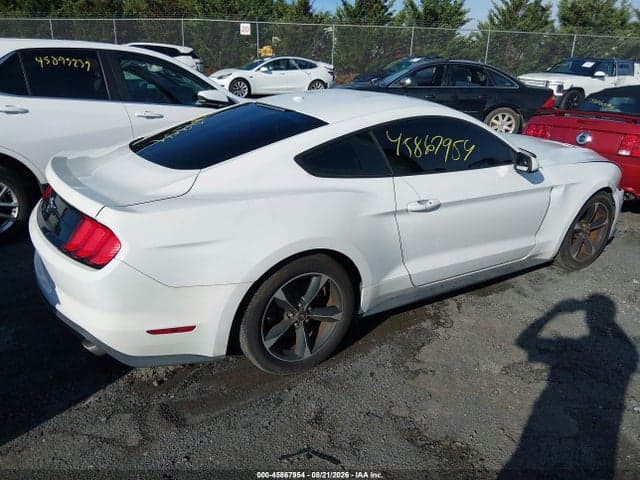 2019 FORD MUSTANG ECOBOOST 4