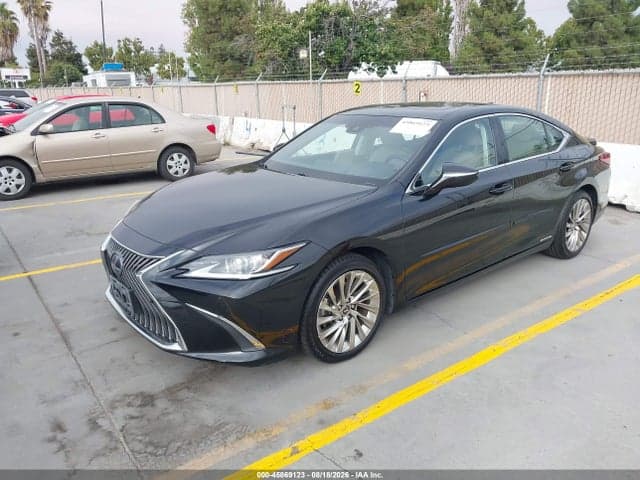 2019 LEXUS ES 300H LUXURY 2