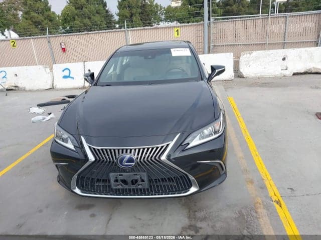 2019 LEXUS ES 300H LUXURY 13