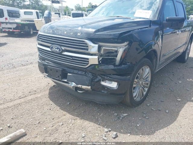 2024 FORD F150 PLATINUM 6