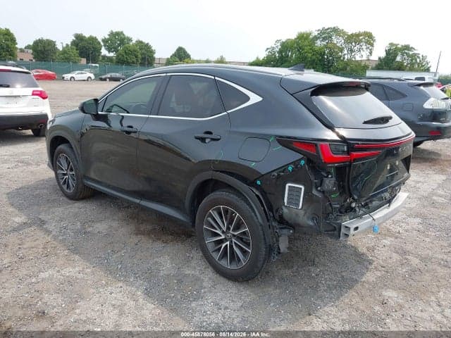 2023 LEXUS NX 250 PREMIUM 3