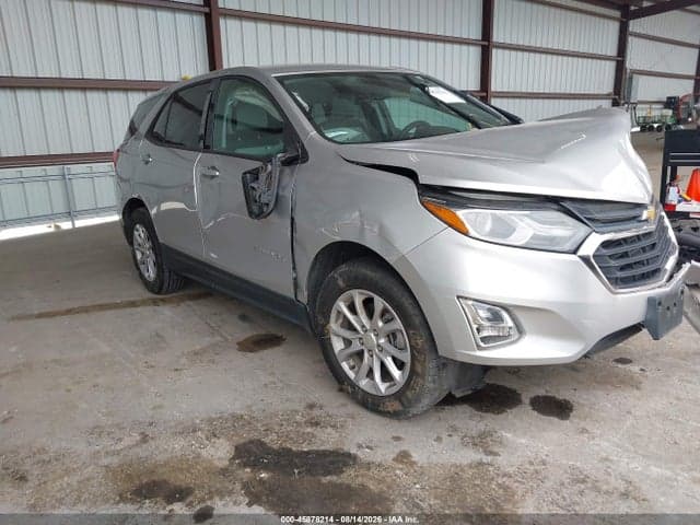 2019 CHEVROLET EQUINOX LS 1