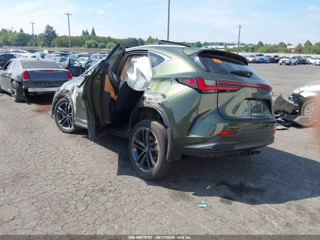 2025 LEXUS NX 450H+ LUXURY 3