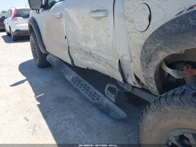2024 FORD F-150 RAPTOR 17