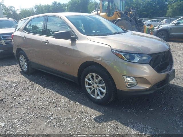 2019 CHEVROLET EQUINOX LS 1