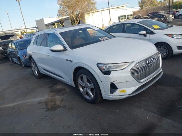 2019 AUDI E-TRON PREMIUM PLUS 1