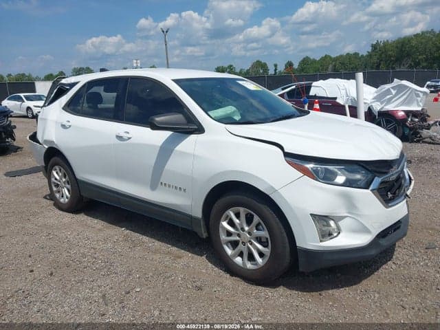 2019 CHEVROLET EQUINOX LS 1