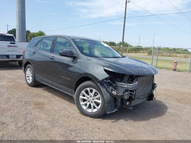 2019 CHEVROLET EQUINOX LS 1