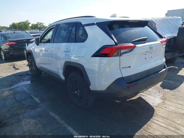 2019 TOYOTA RAV4 LE 3