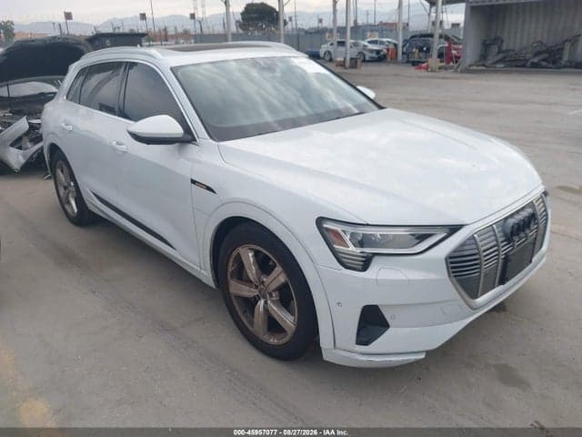 2019 AUDI E-TRON PREMIUM PLUS 1