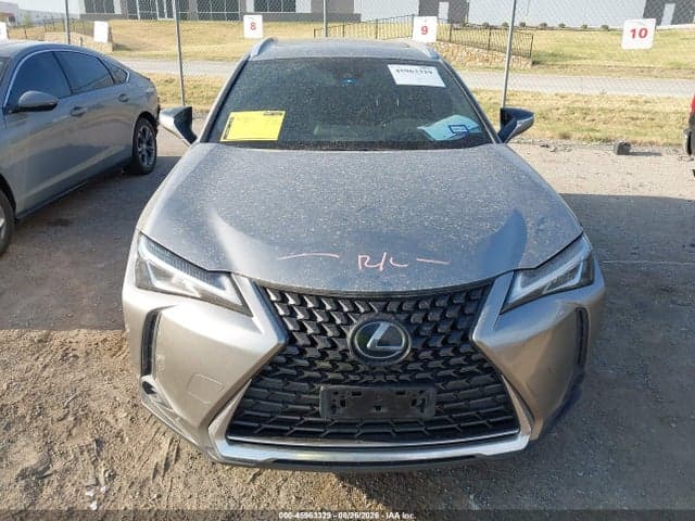 2019 LEXUS UX 200 12