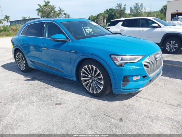 2019 AUDI E-TRON PREMIUM PLUS 1