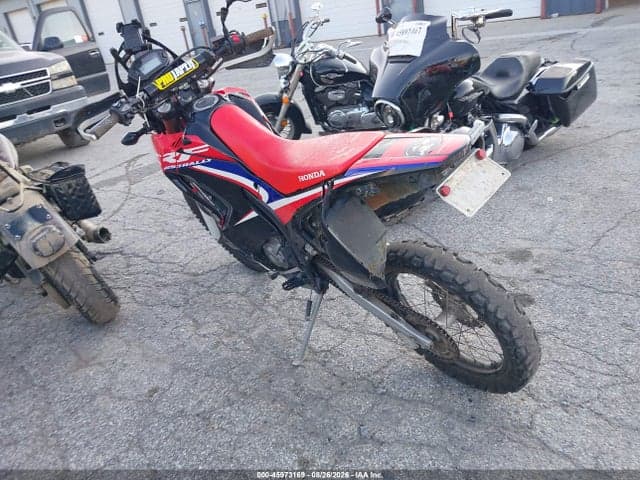 2019 HONDA CRF250 RL 3