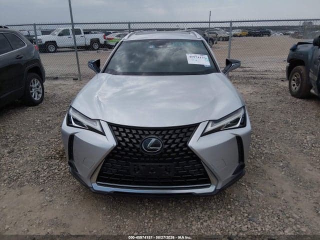 2019 LEXUS UX 200 13