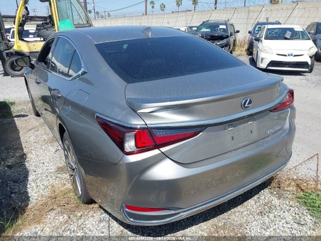 2019 LEXUS ES 300H LUXURY 3