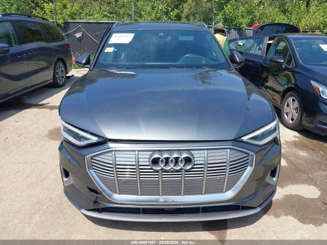 2019 AUDI E-TRON PREMIUM PLUS 12
