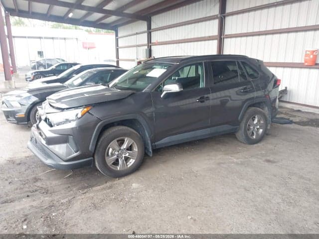 2024 TOYOTA RAV4 XLE 2
