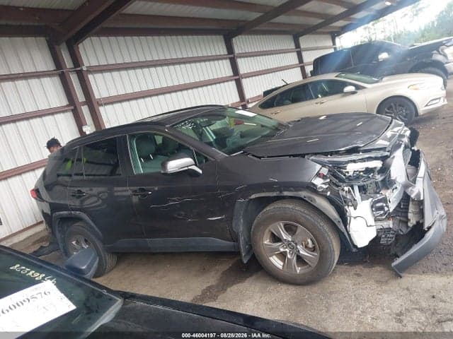 2024 TOYOTA RAV4 XLE 13
