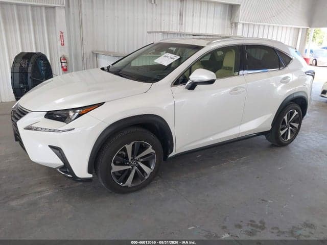 2019 LEXUS NX 300 2