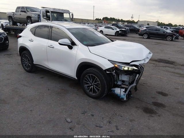 2025 LEXUS NX 250 PREMIUM 1