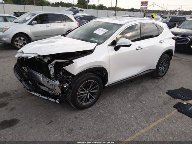 2025 LEXUS NX 250 PREMIUM 2