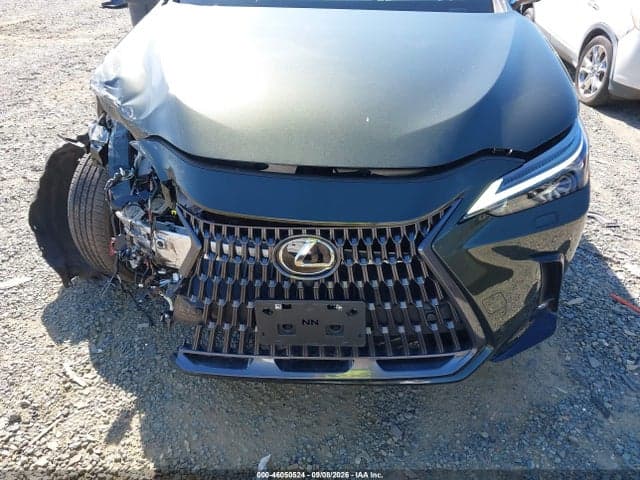 2024 LEXUS NX 350 LUXURY 13
